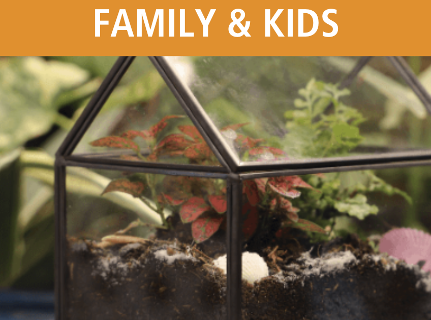 Tropical Terrarium